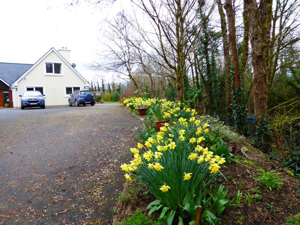 Camillaun Lodge With Lough Corrib Boat Hire Oughterard Exteriör bild